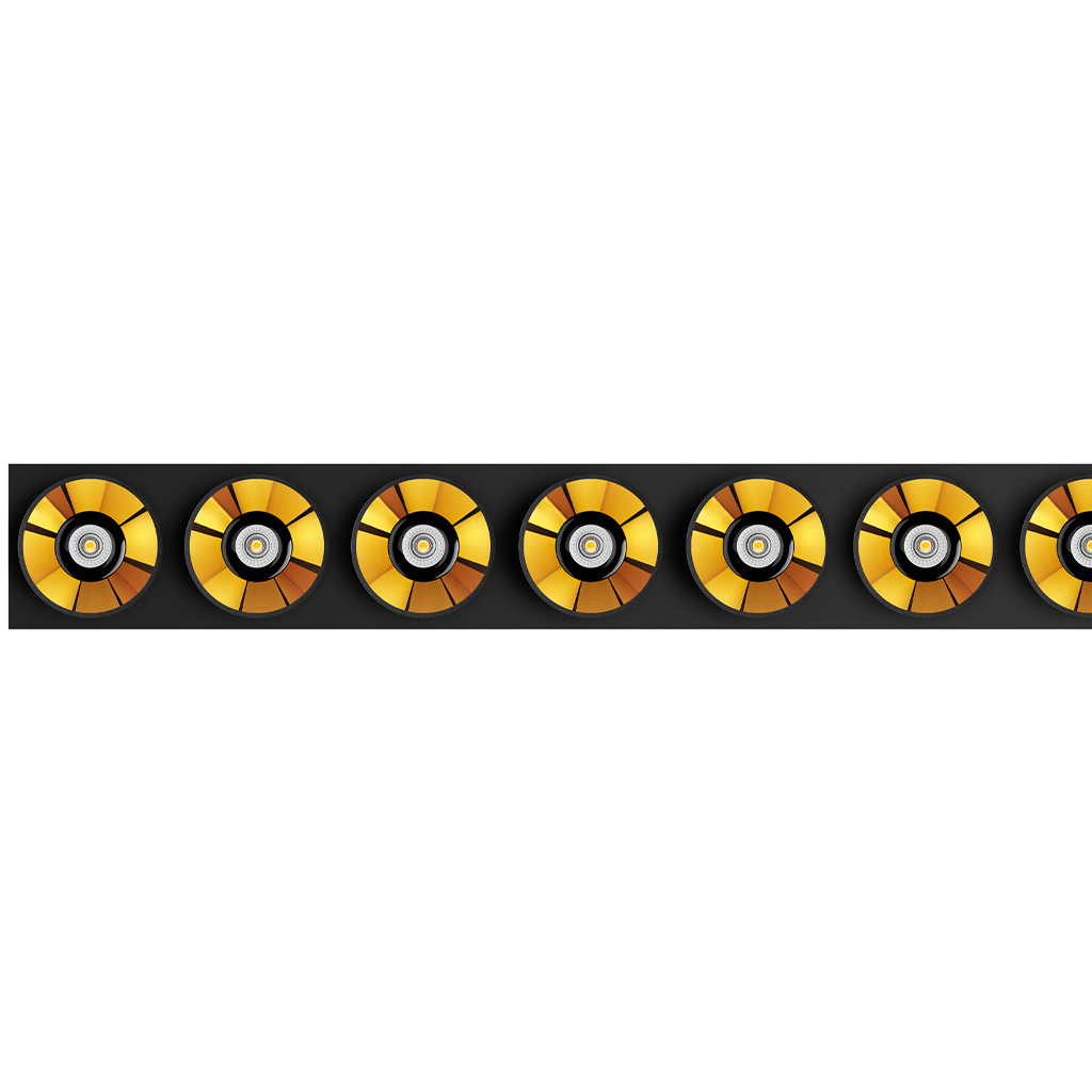 Black Foster Custom Module - Module 10