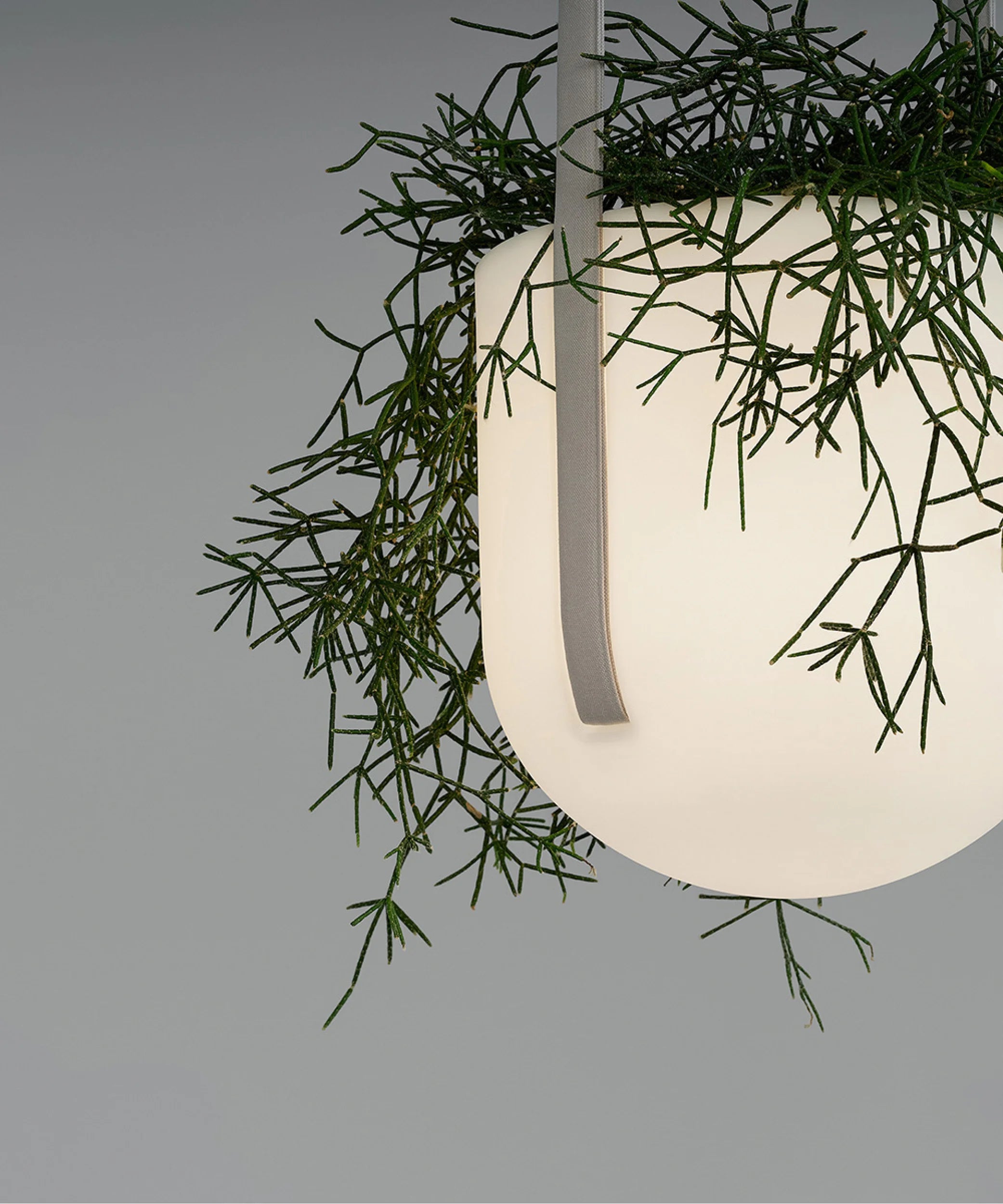 Flexxica Jungle pendant light planter detail