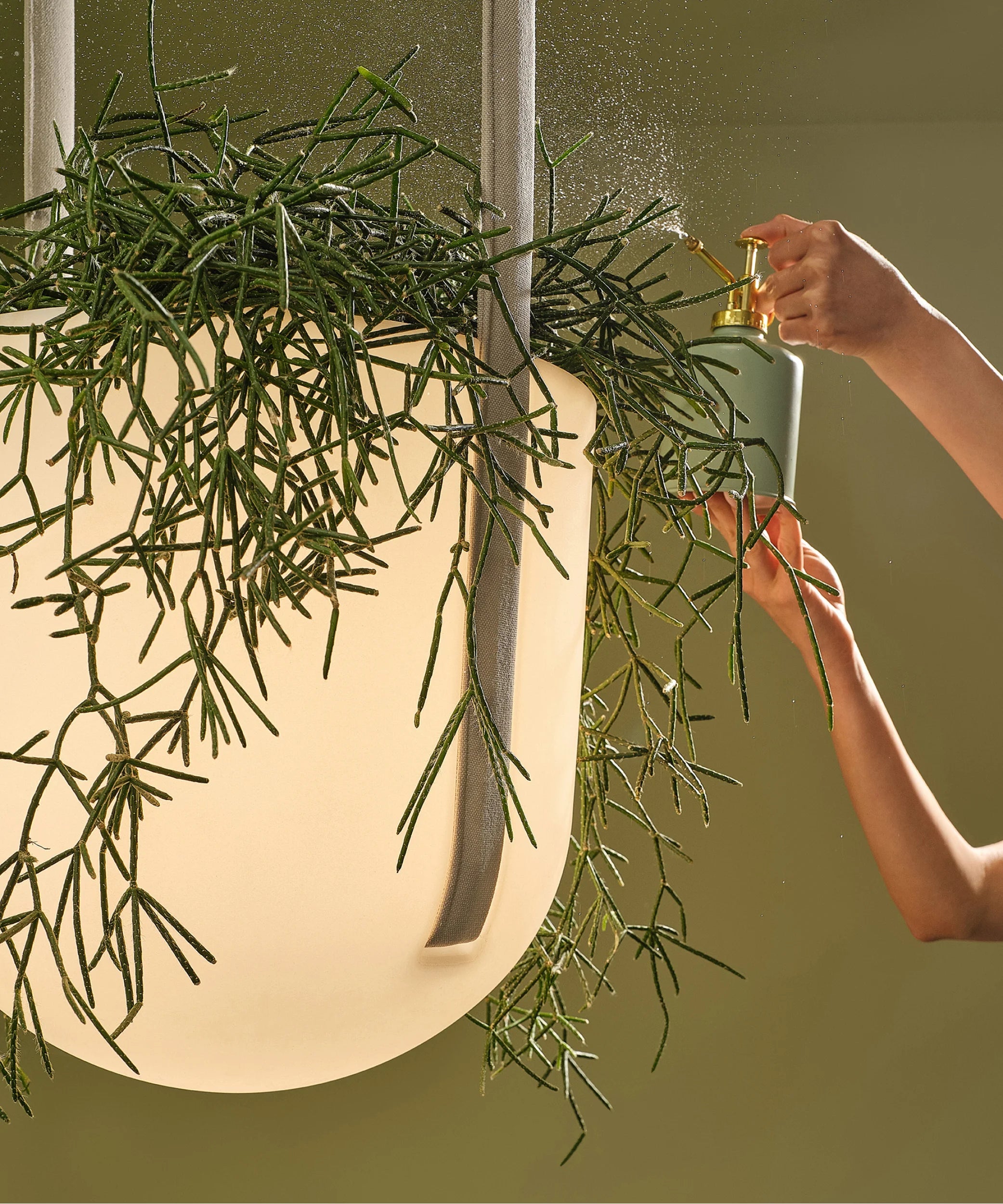 Flexxica Jungle pendant light and plant pot
