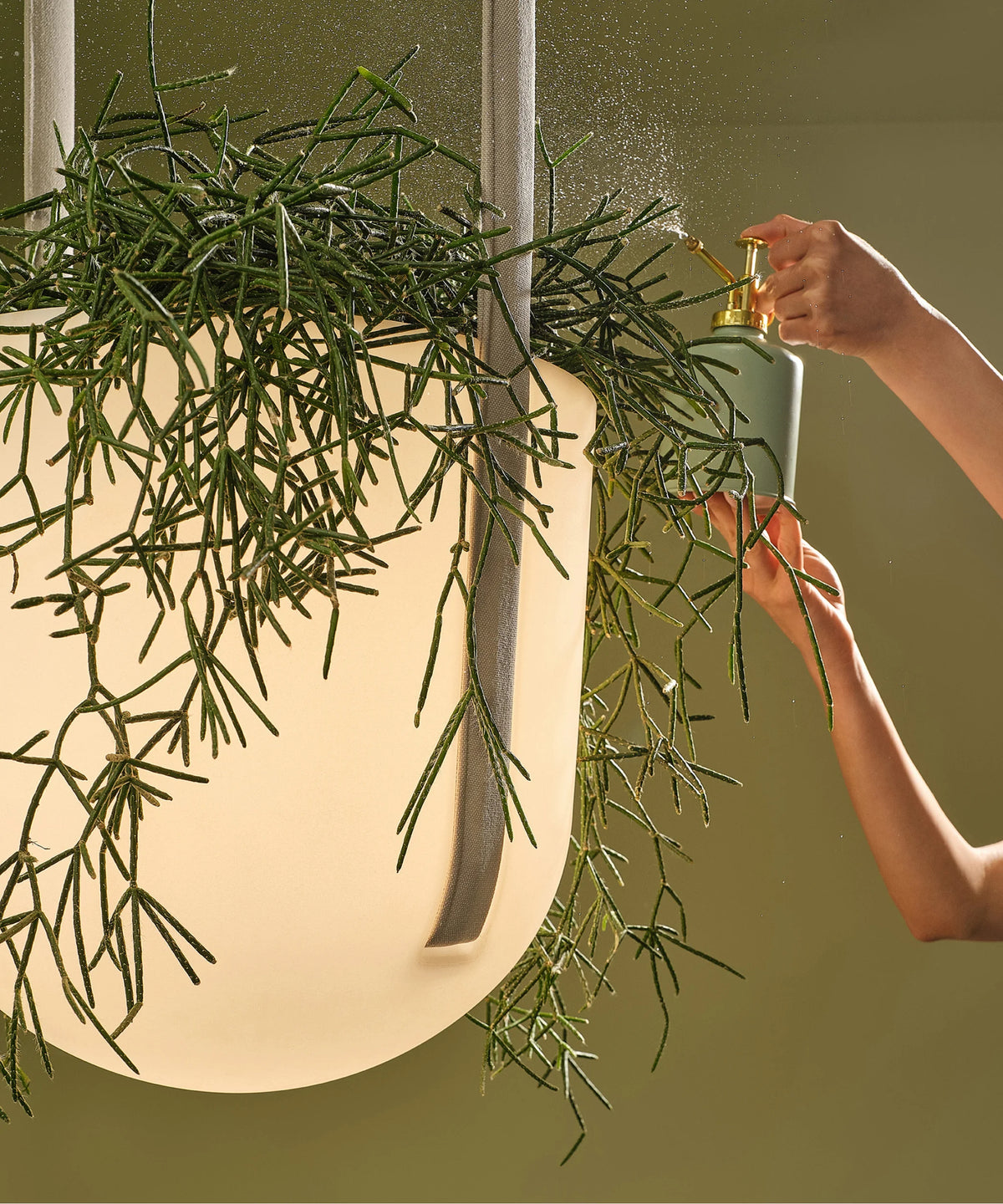 Flexxica Jungle pendant light and plant pot