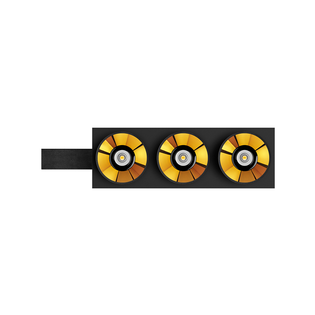 Black Foster Custom Module - Module 3