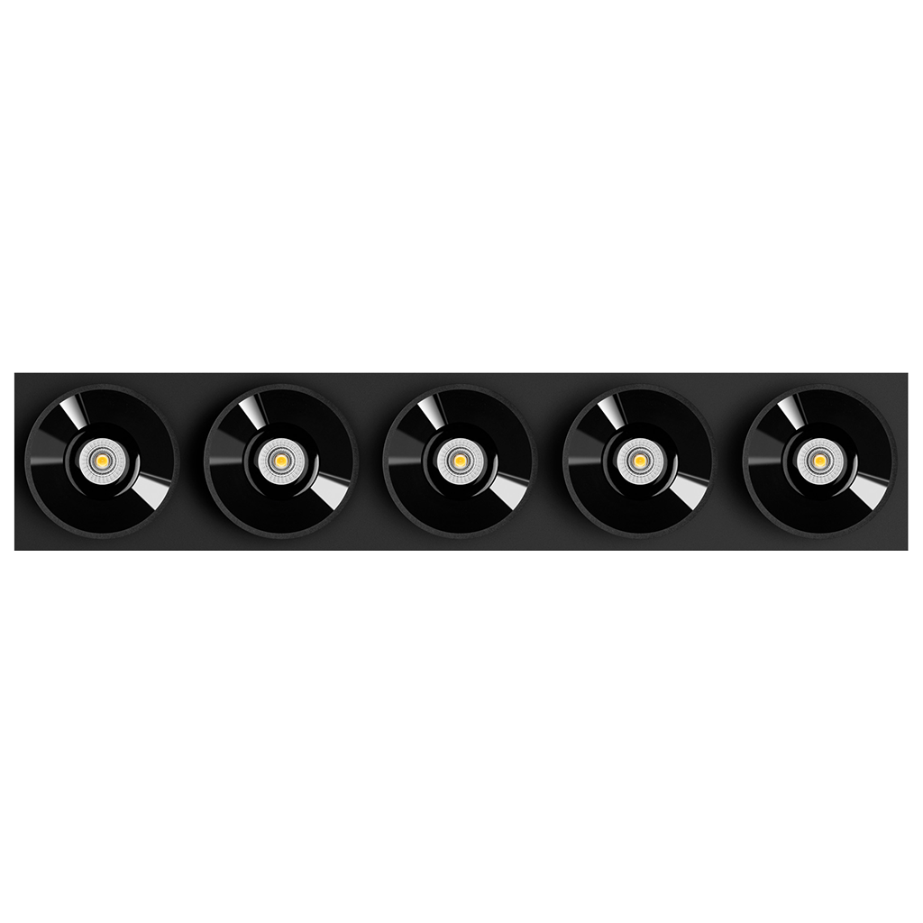 Black Foster Custom Module - Module 5