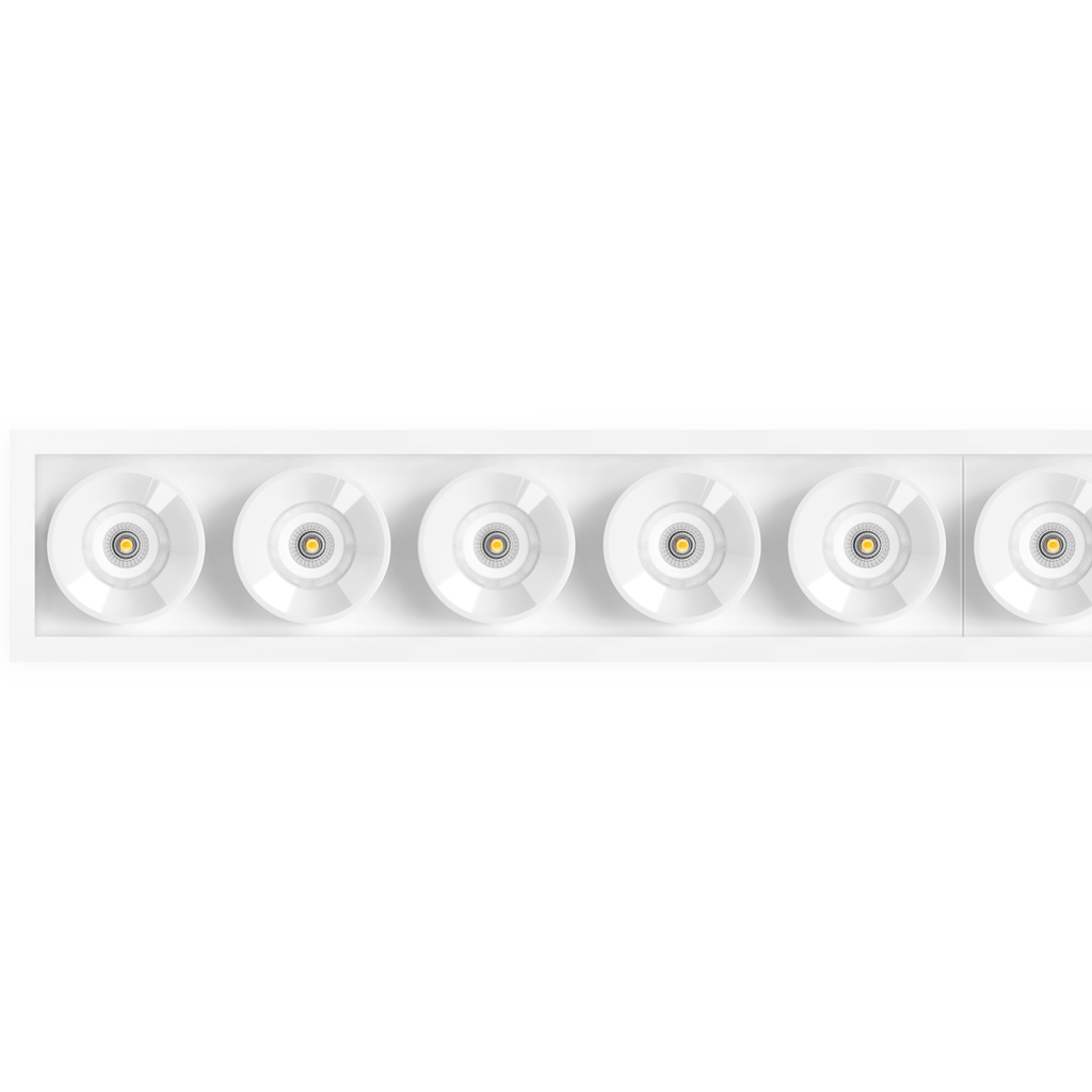 Black Foster - 10 Light's