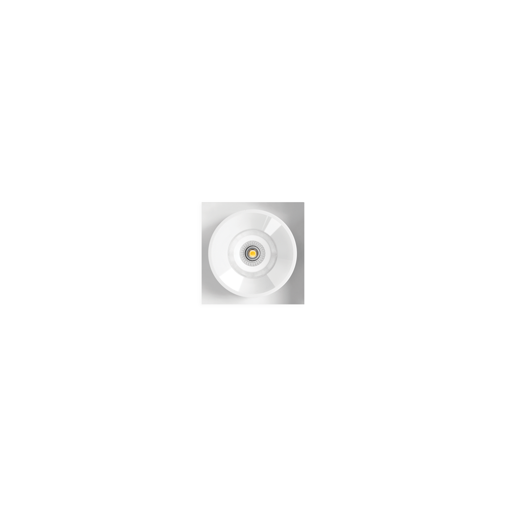 Black Foster Trimless - 1 Light