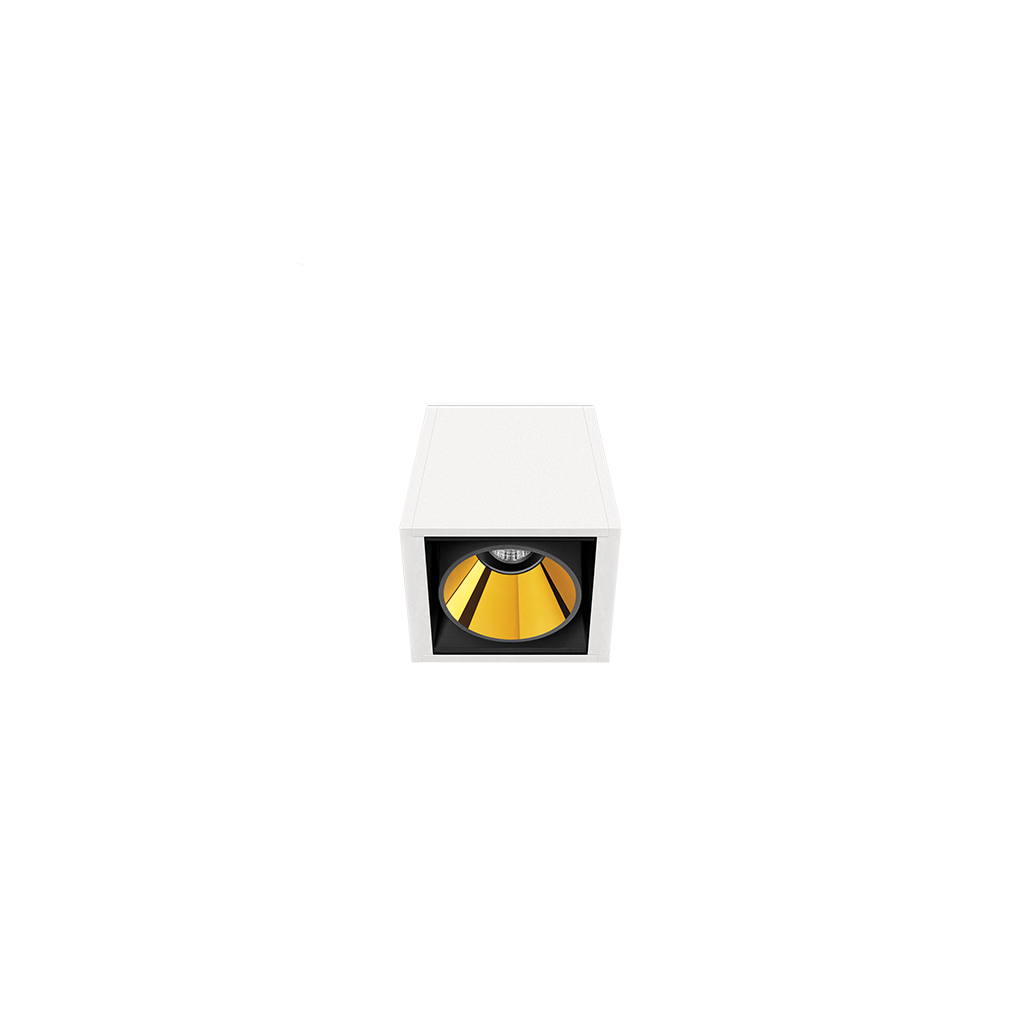 Black Foster Surface - 1 Module