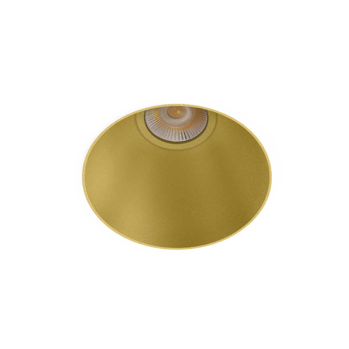 Arkoslight Buddy L Trimless in Gold