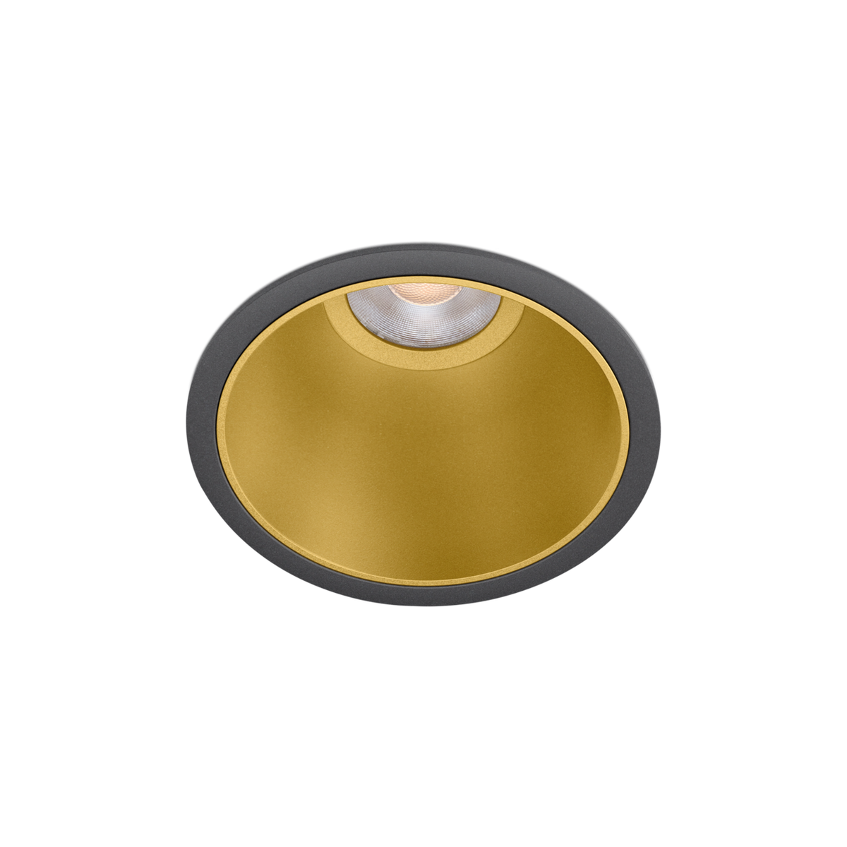 Arkoslight Buddy in Black-Gold