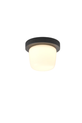 Hoist Flush mount - No Shade