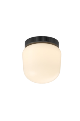 Hoist Flush mount - No Shade