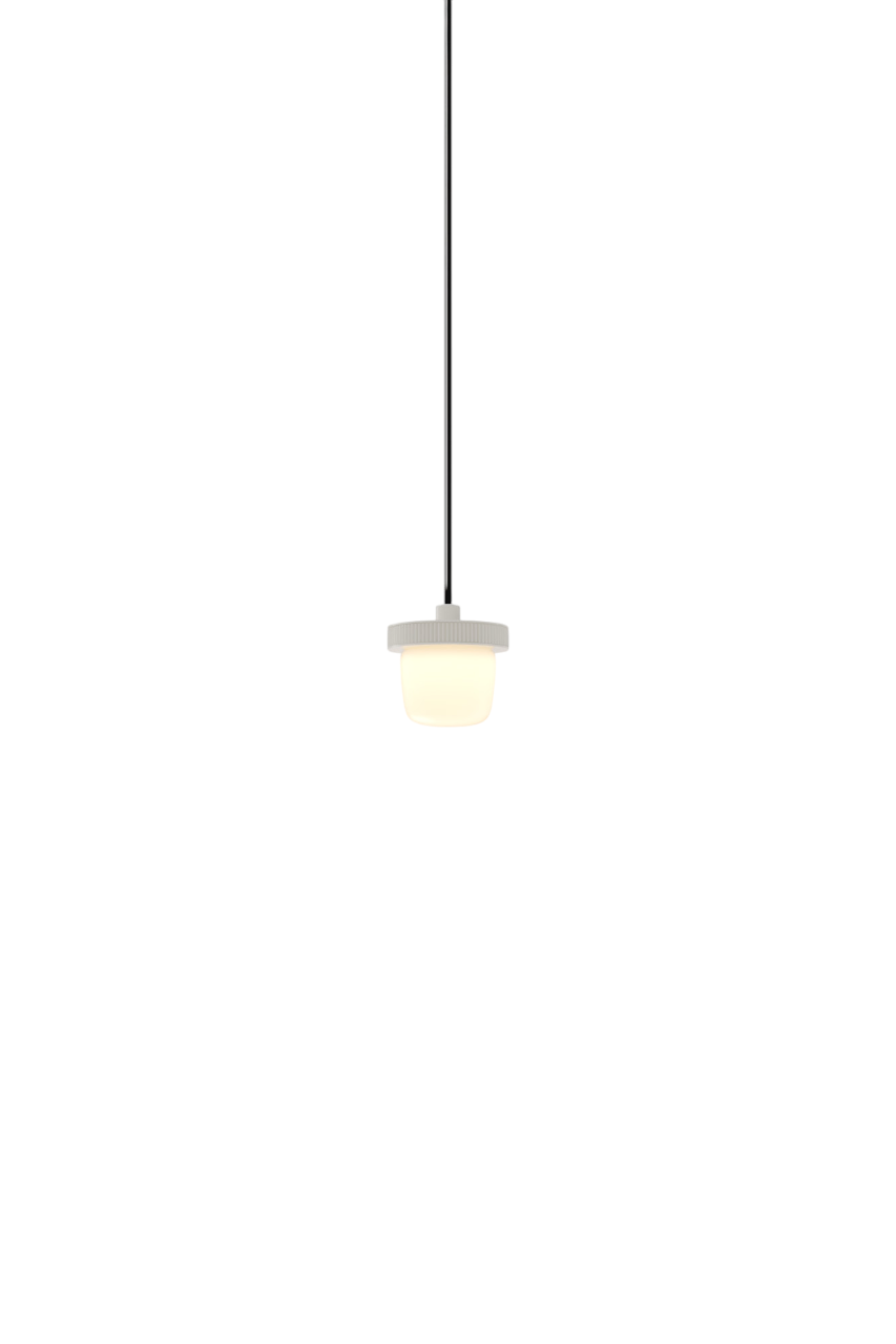 Hoist Pendant - DALI