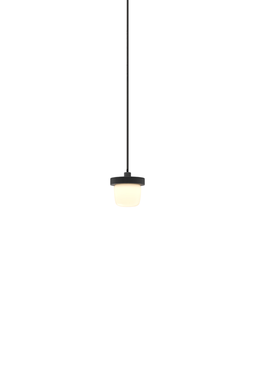 Hoist Pendant - DALI