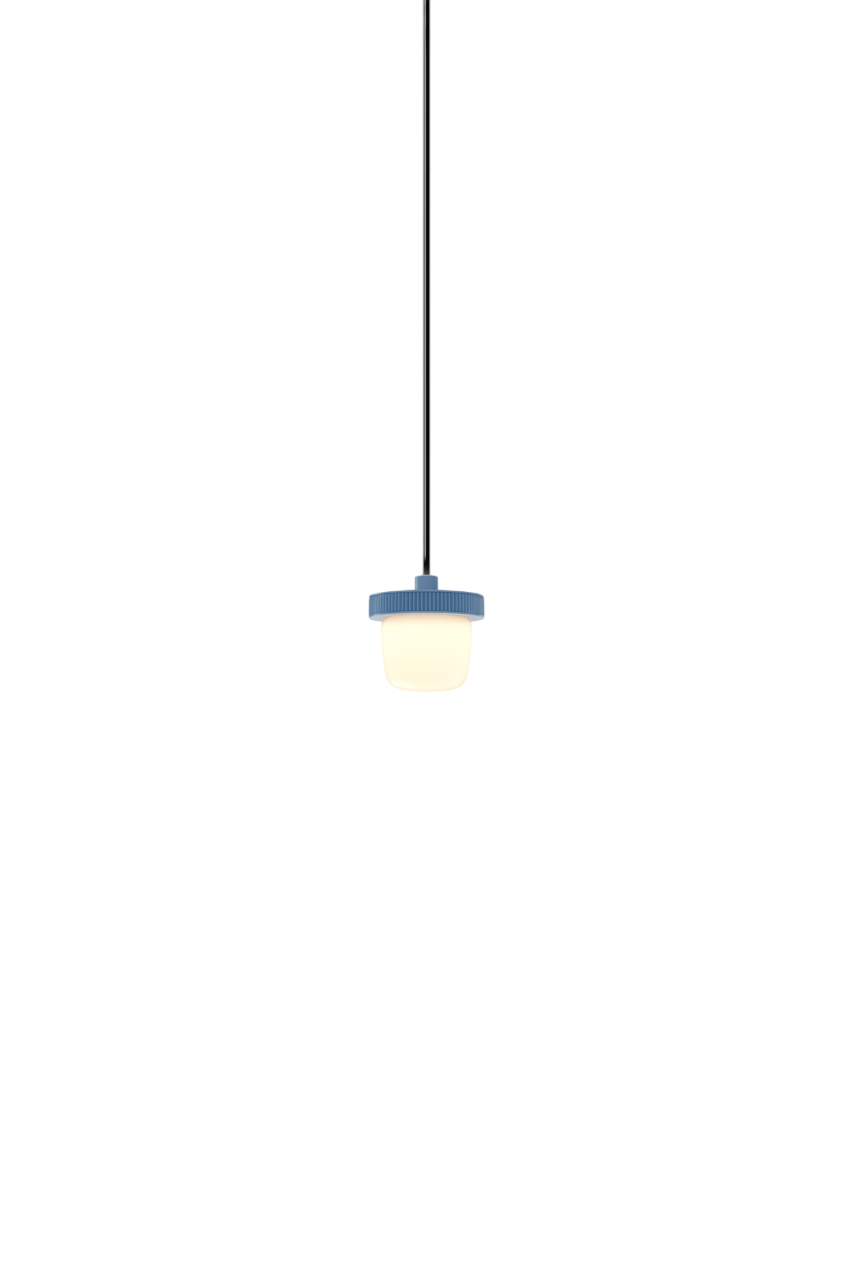 Hoist Pendant - DALI