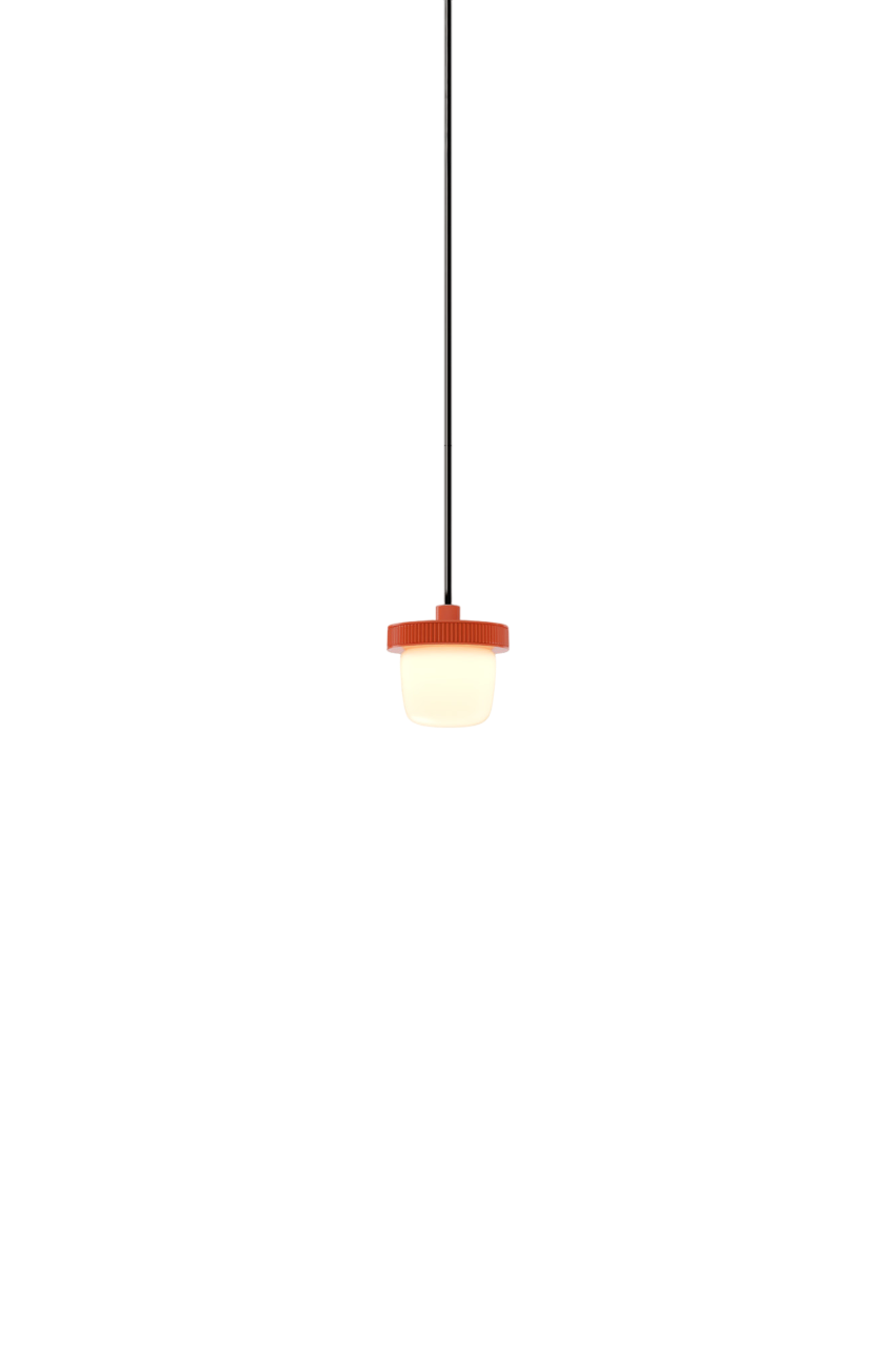 Hoist Pendant - DALI