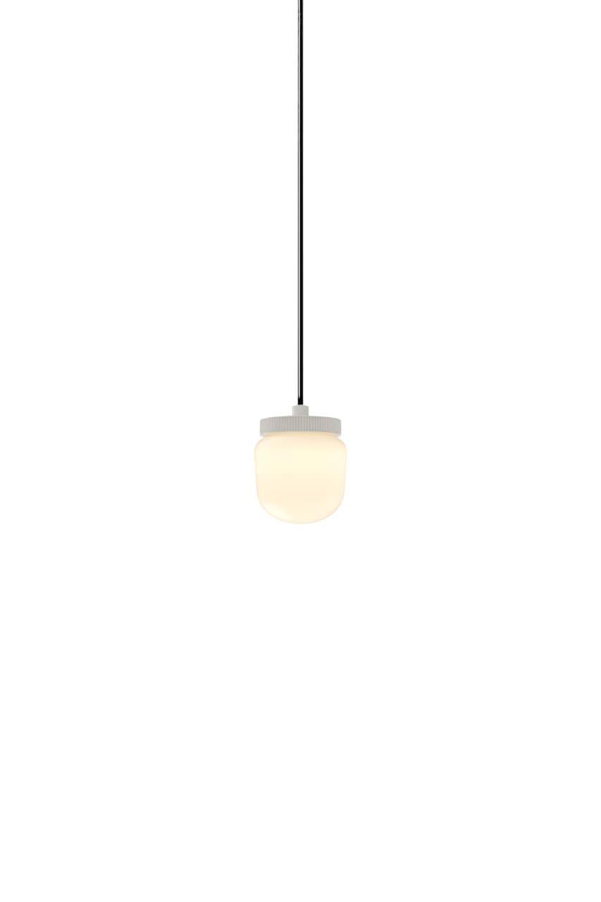 Hoist Pendant - Phase