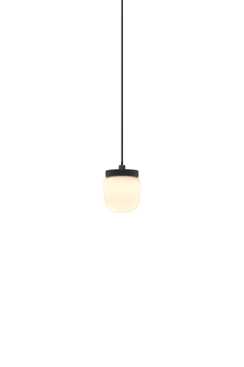 Hoist Pendant - Phase