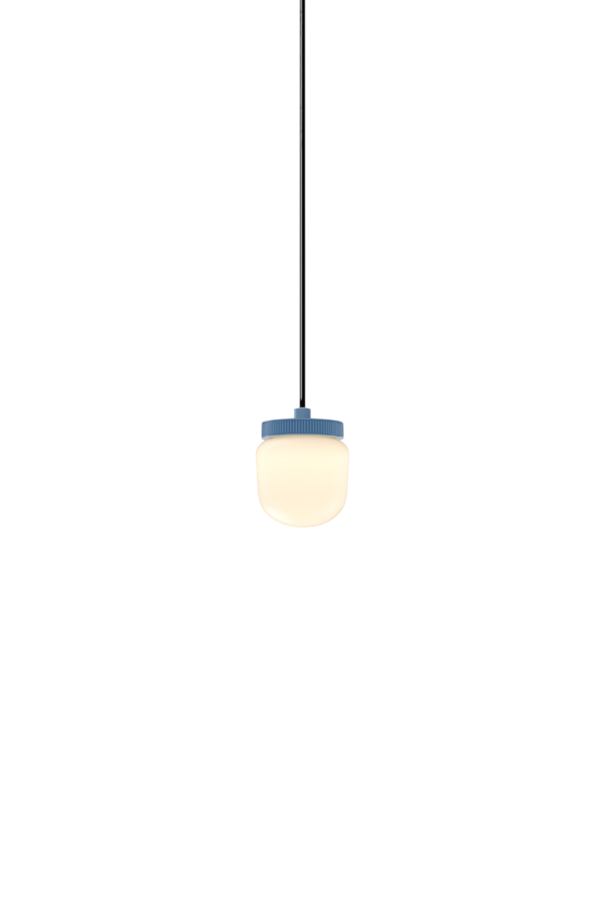 Hoist Pendant - DALI