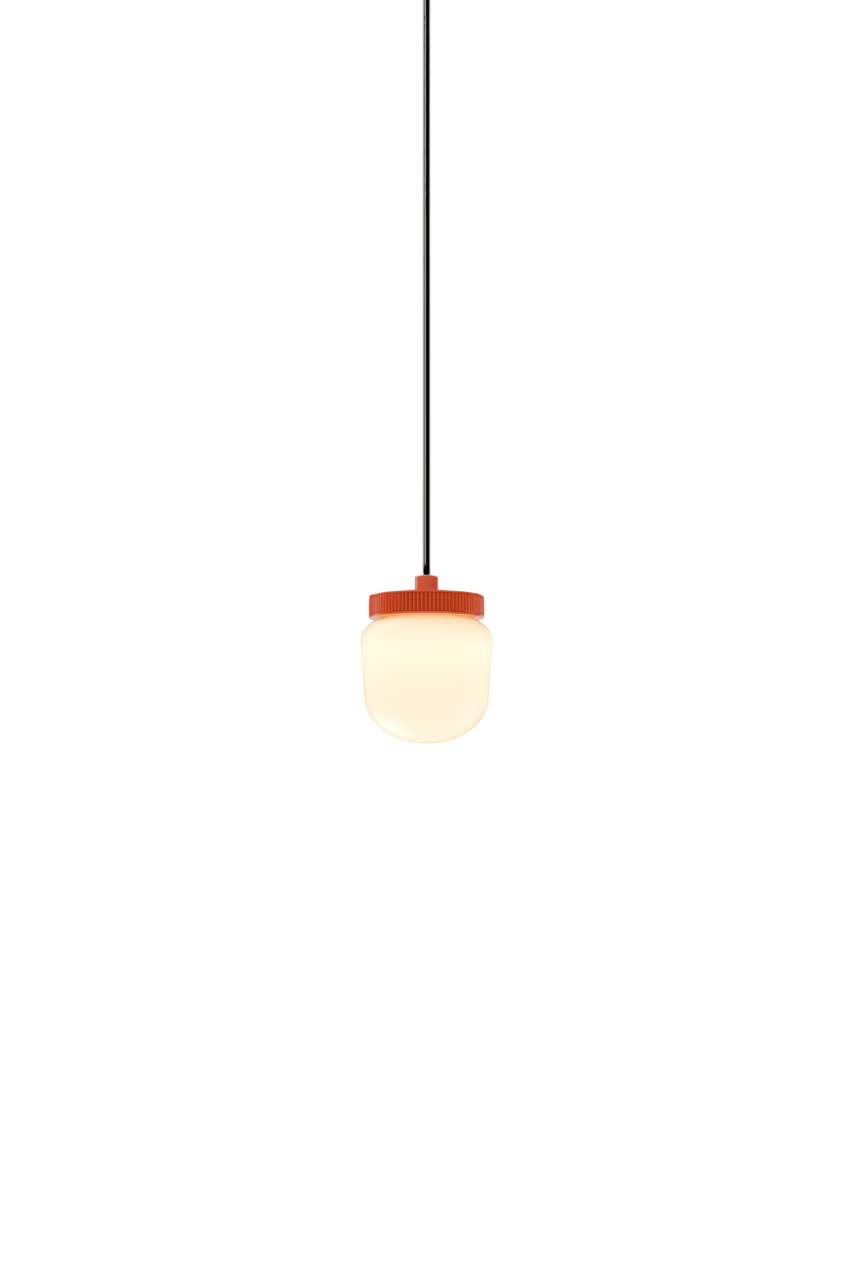 Hoist Pendant - DALI