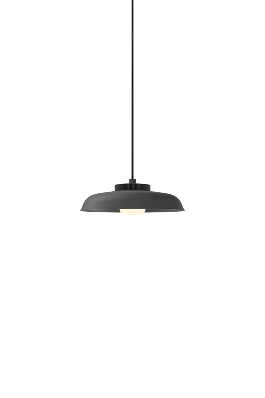 Hoist Pendant - DALI
