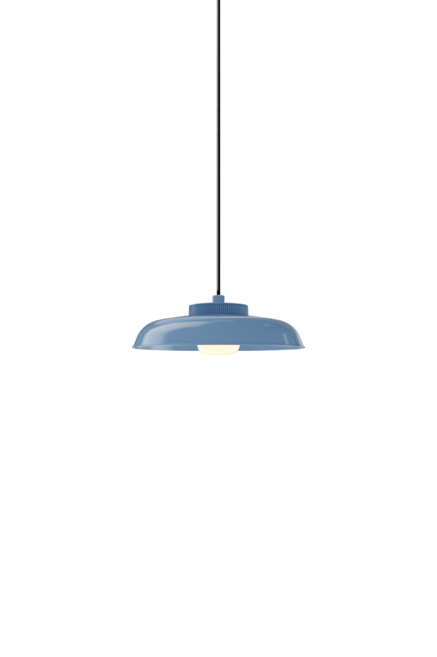 Hoist Pendant - Phase