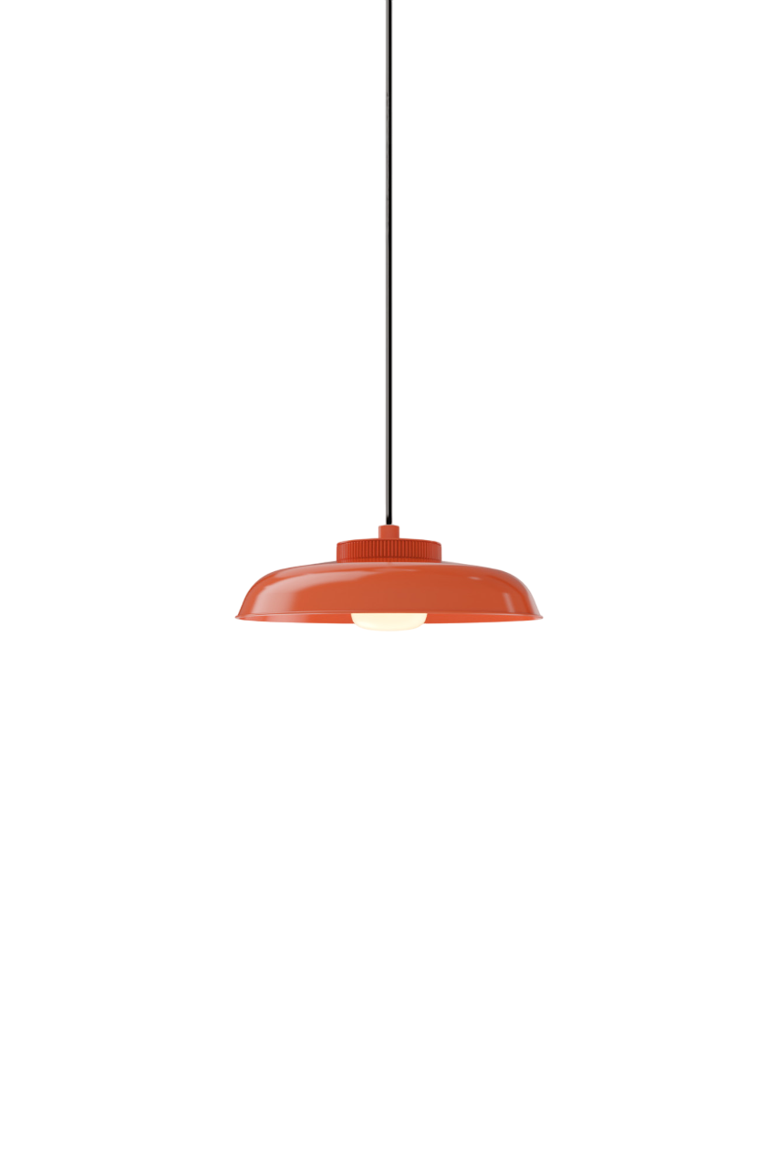 Hoist Pendant - DALI