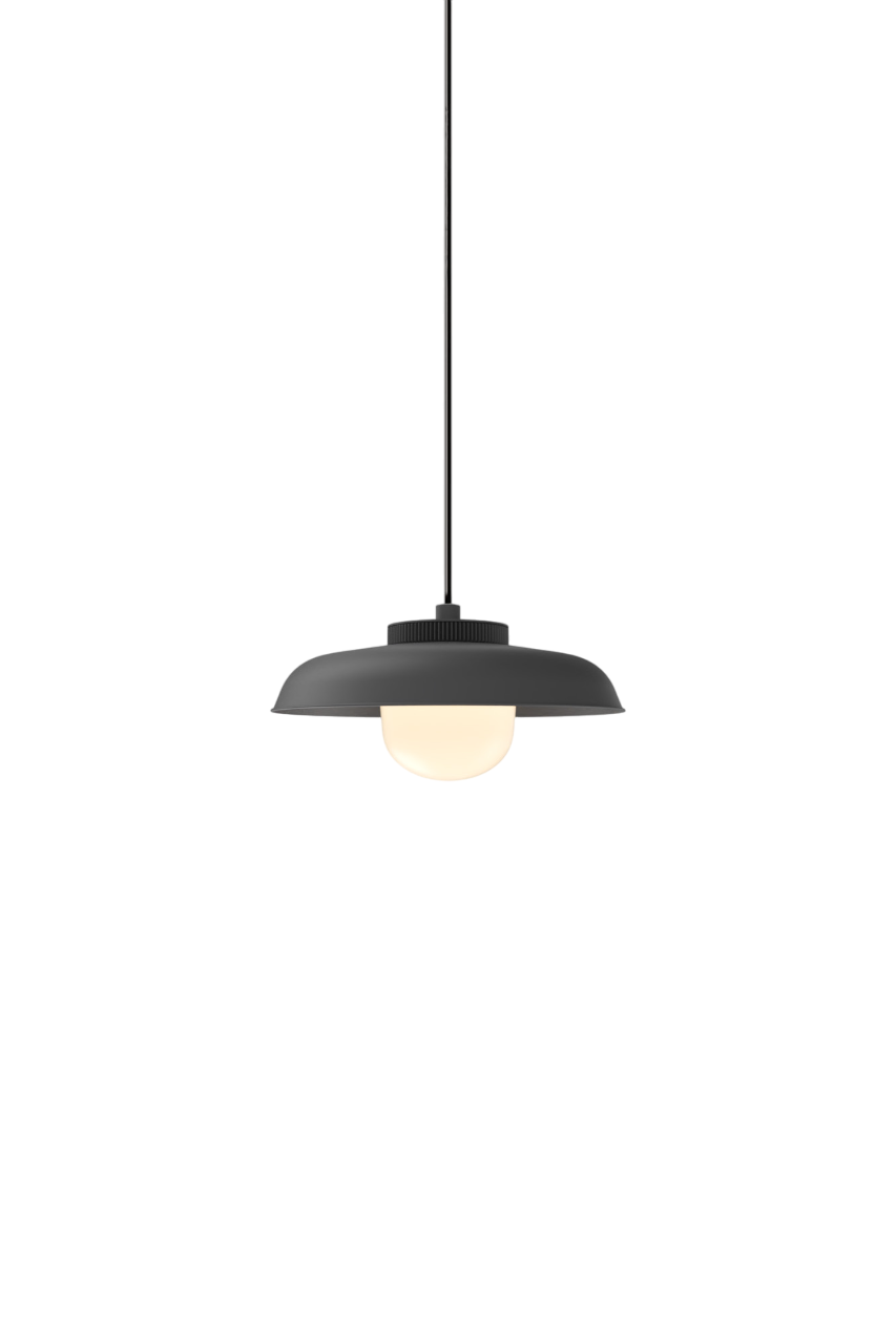 Hoist Pendant - Phase