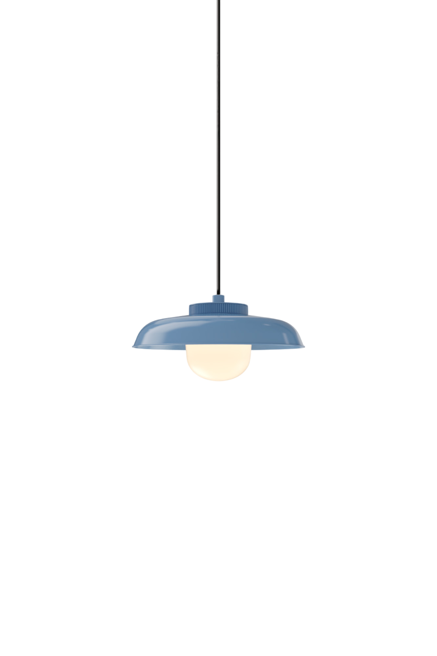 Hoist Pendant - Phase