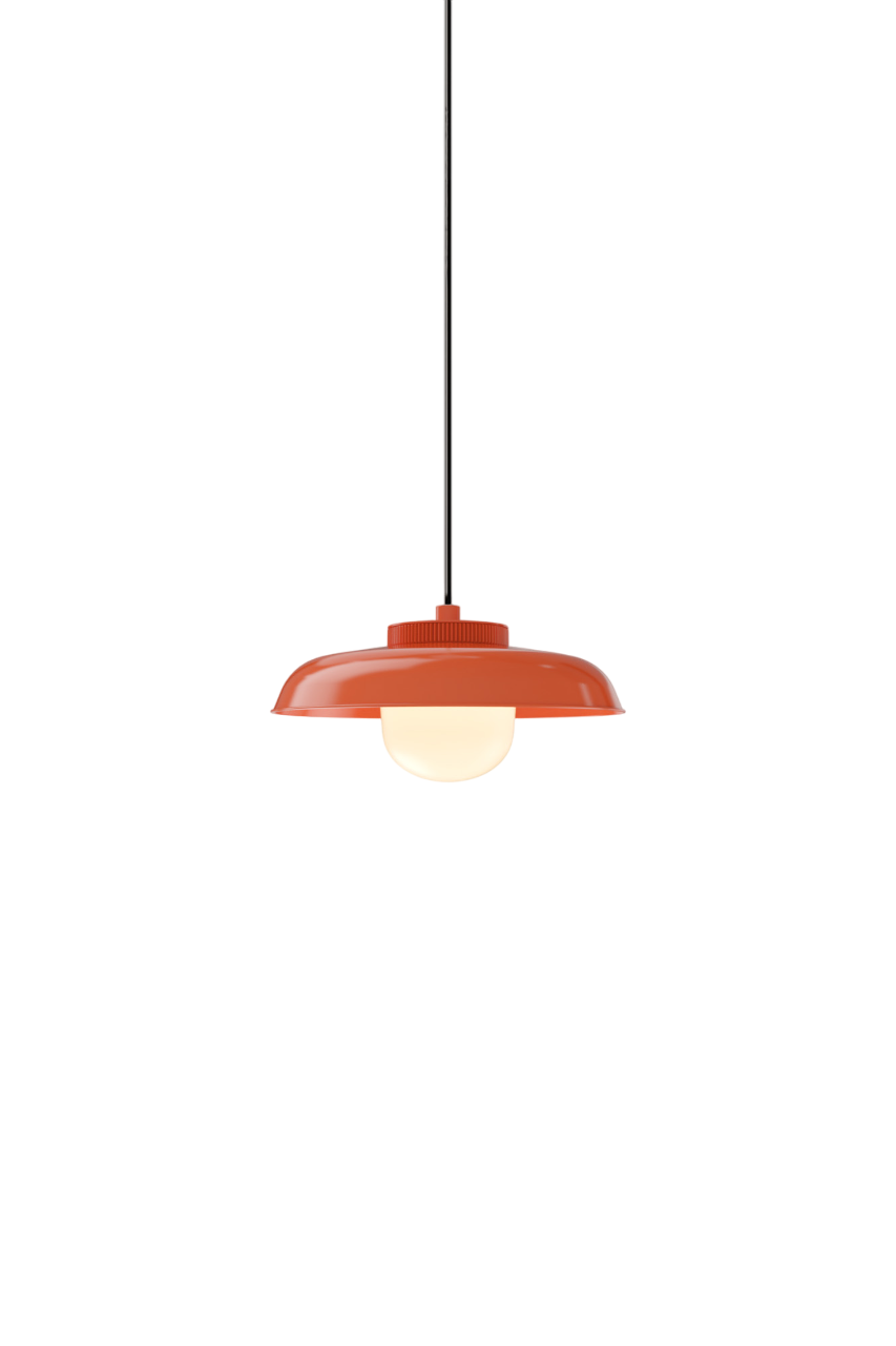 Hoist Pendant - Phase