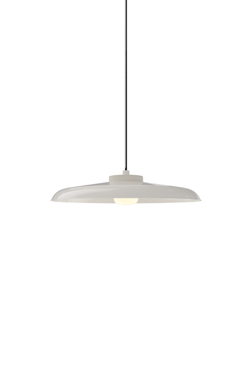 Hoist Pendant - DALI