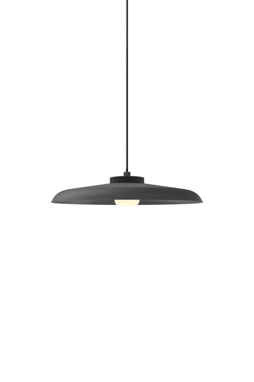 Hoist Pendant - DALI