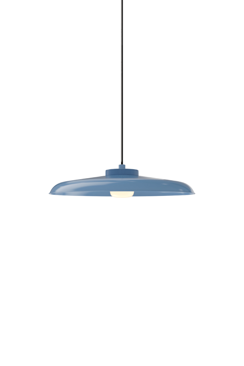 Hoist Pendant - DALI