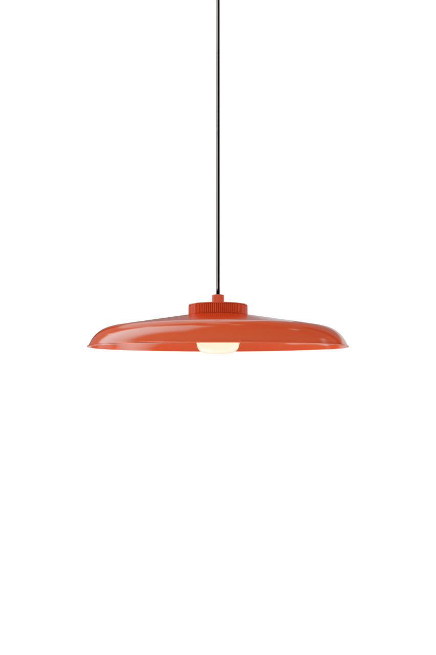 Hoist Pendant - DALI
