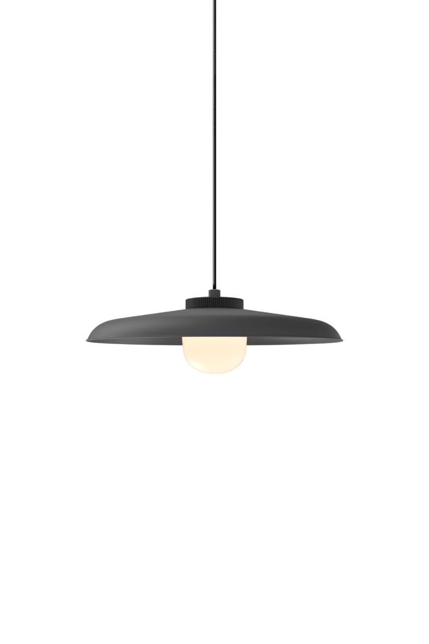 Hoist Pendant - DALI