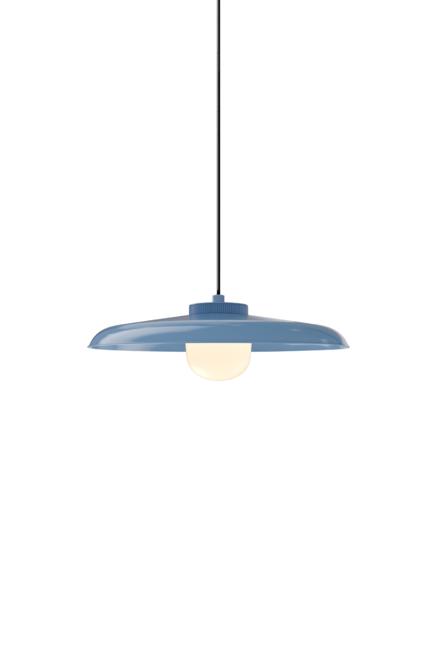 Hoist Pendant - DALI