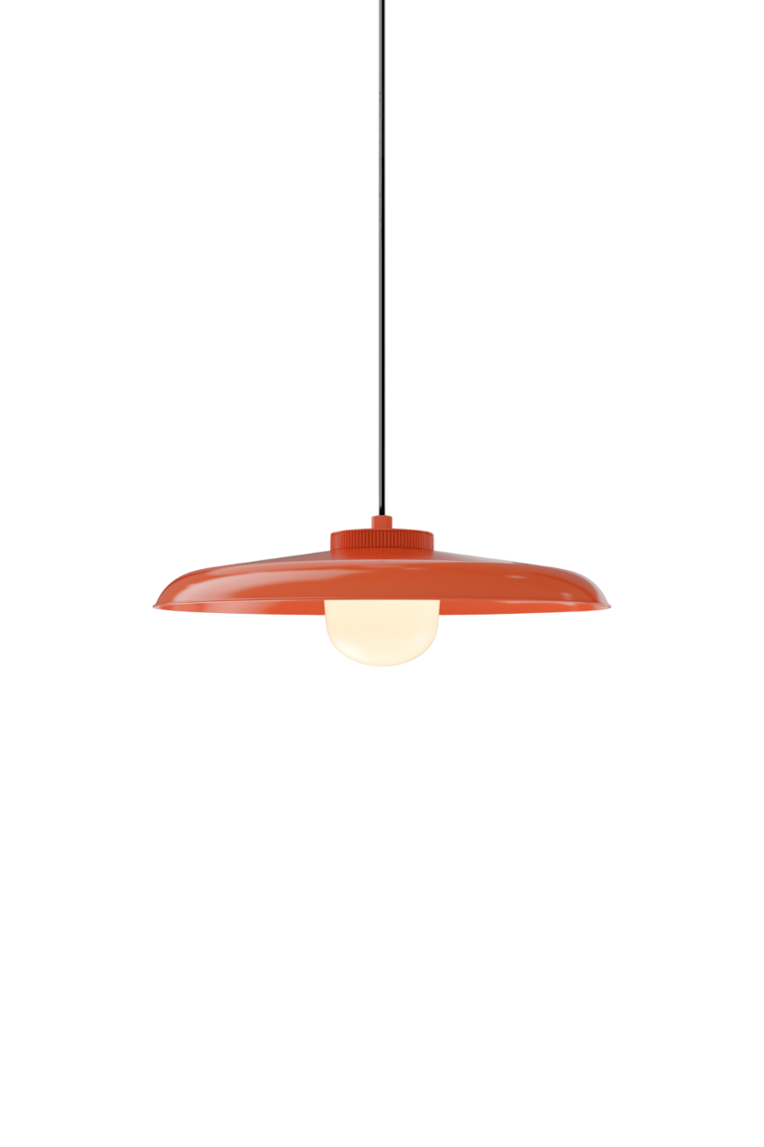 Hoist Pendant - DALI