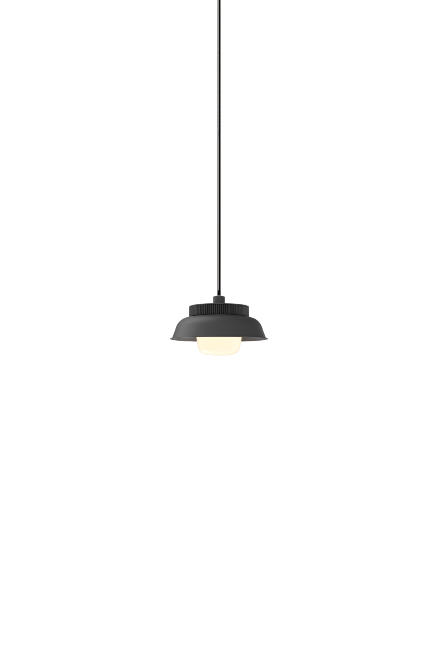 Hoist Pendant - Phase