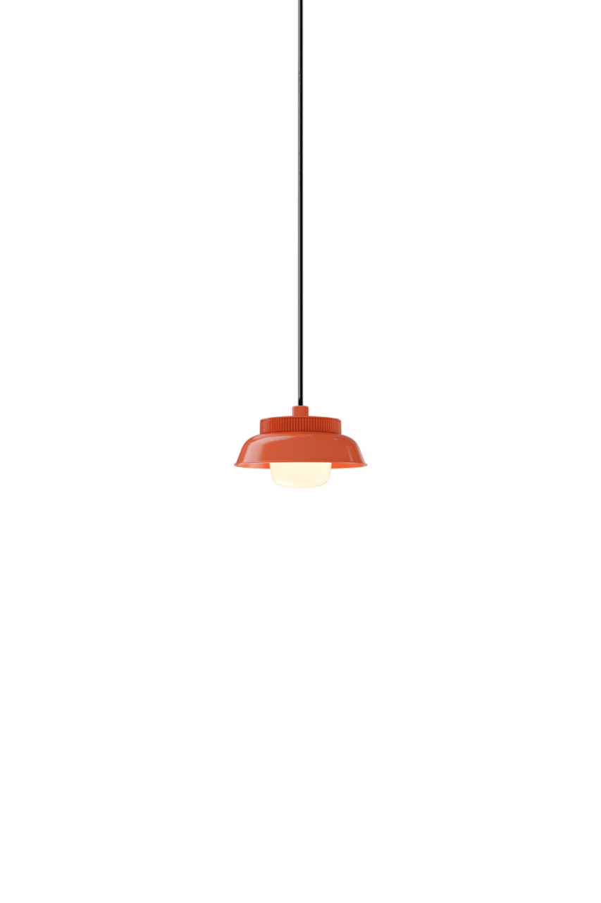 Hoist Pendant - DALI