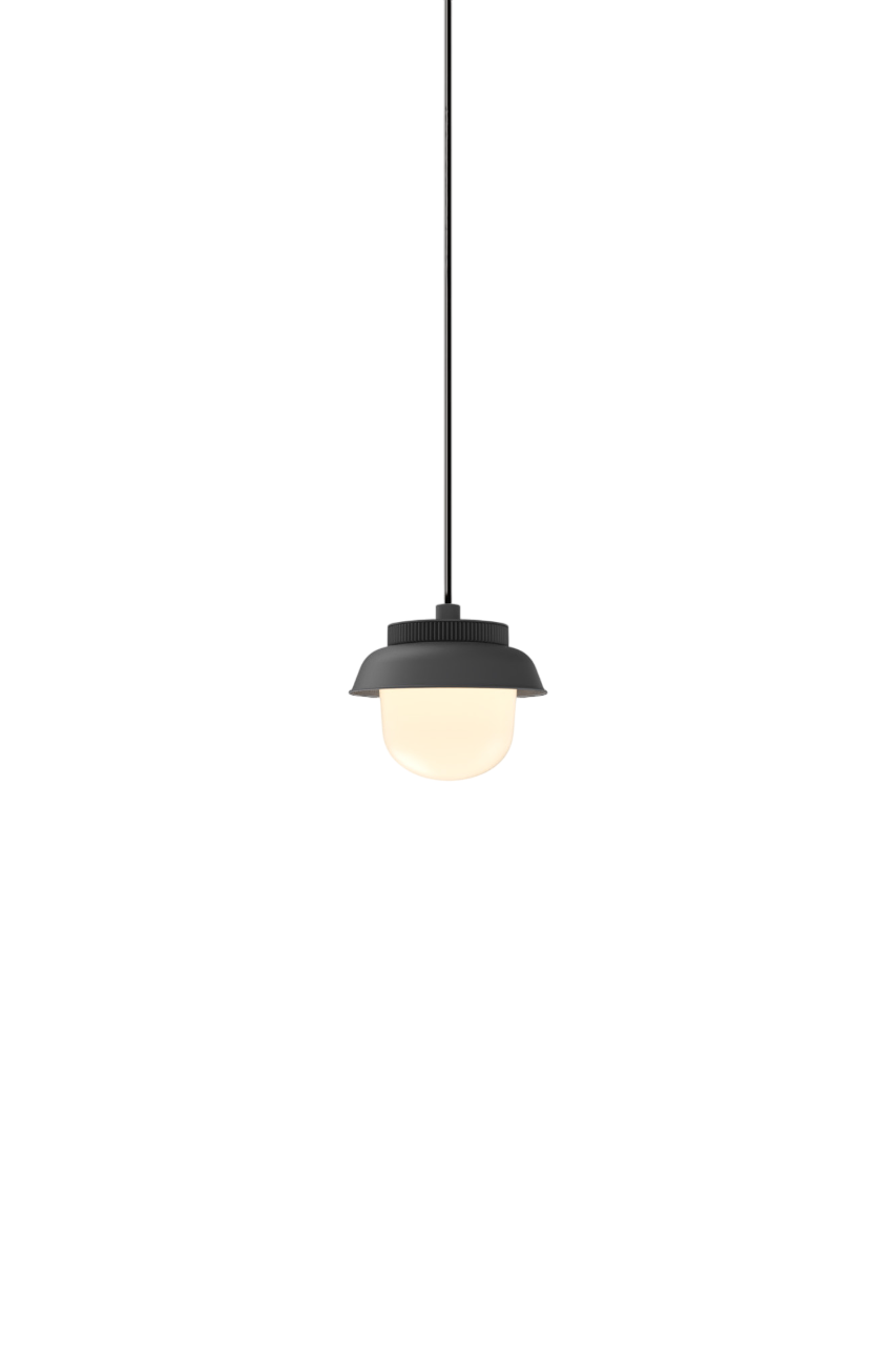 Hoist Pendant - Phase