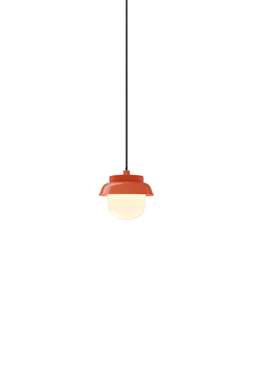 Hoist Pendant - DALI