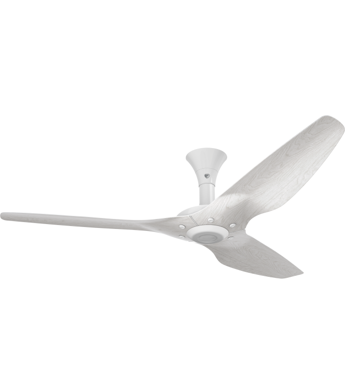 Haiku Indoor Low Profile Mount