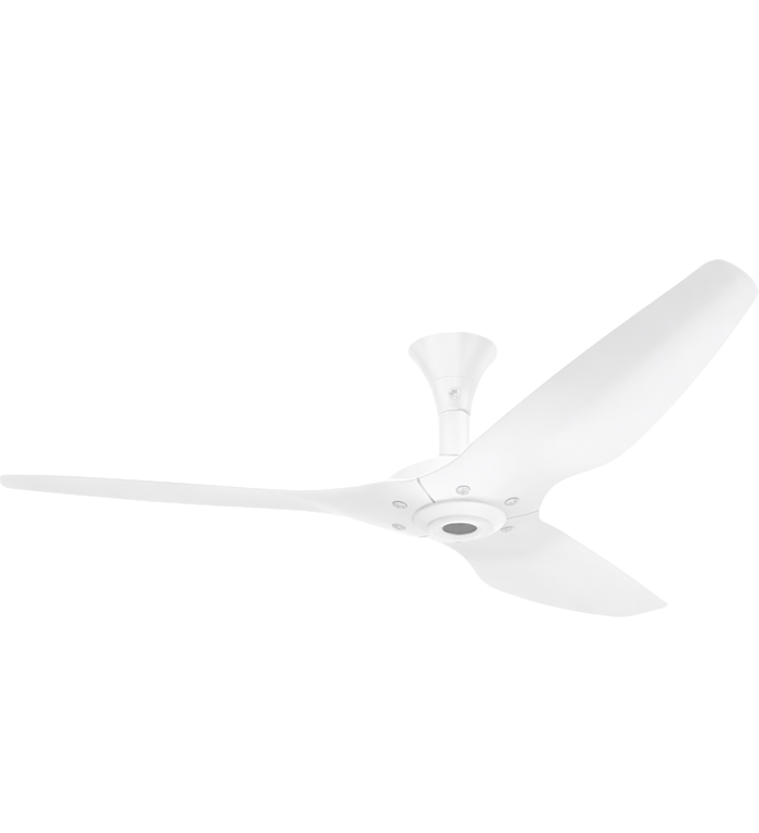 Haiku Indoor Low Profile Mount