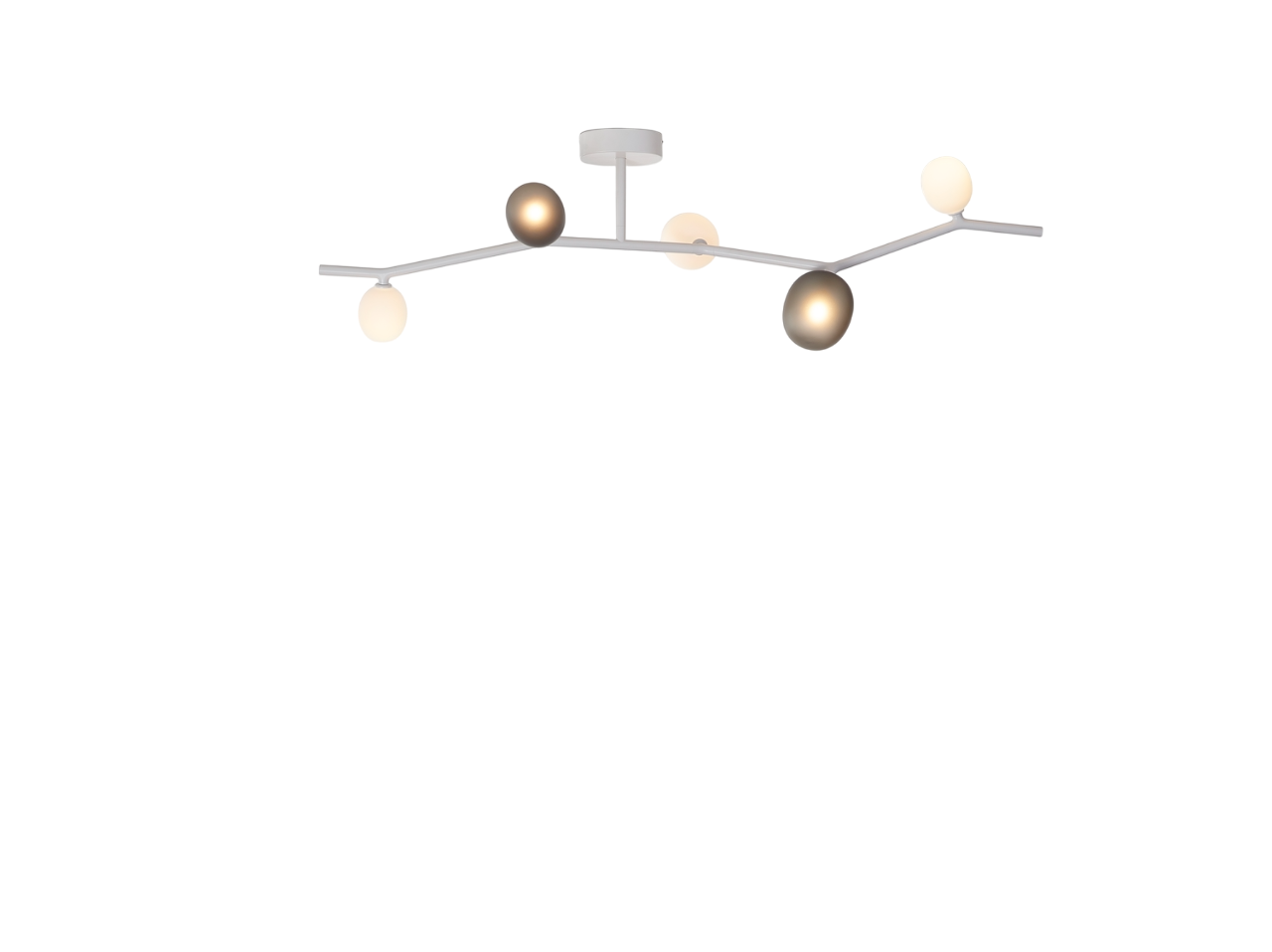 Ivy Ceiling - Ivy Ceiling 5