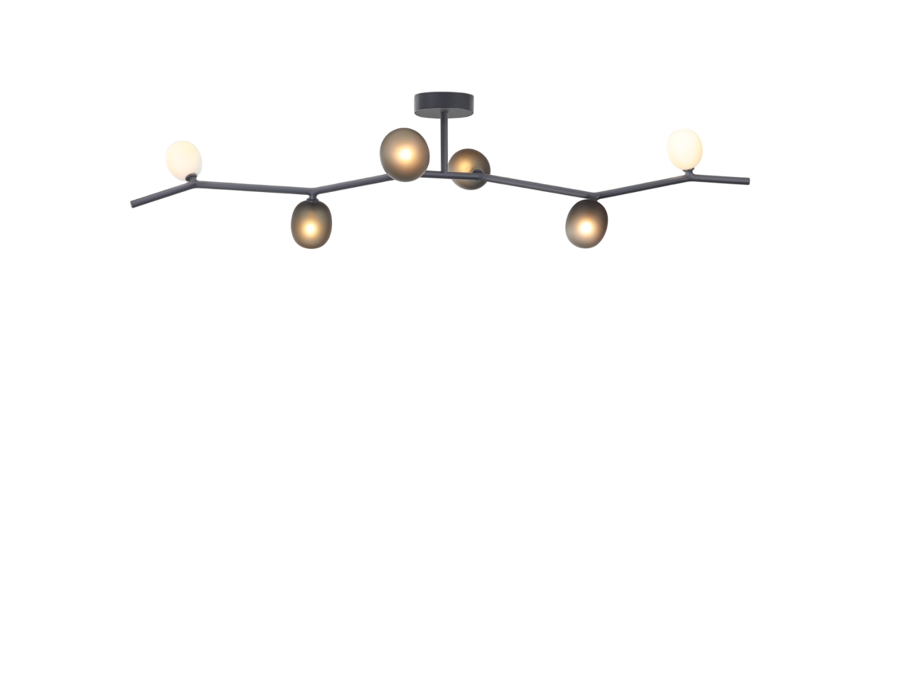 Ivy Ceiling - Ivy Ceiling 6
