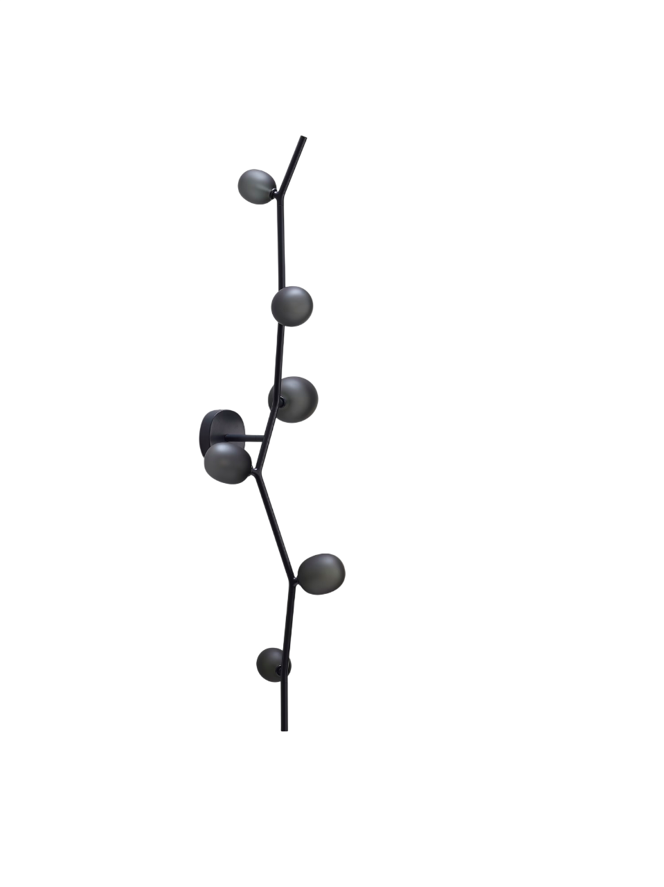 Ivy Wall - Wall 6