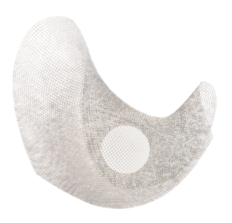 Mytilus