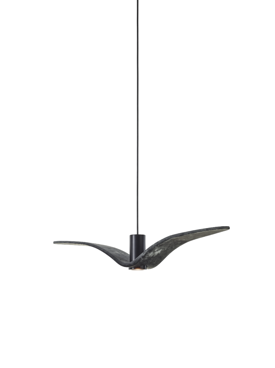 Night Birds Exterior - Night Birds Exterior PC1111