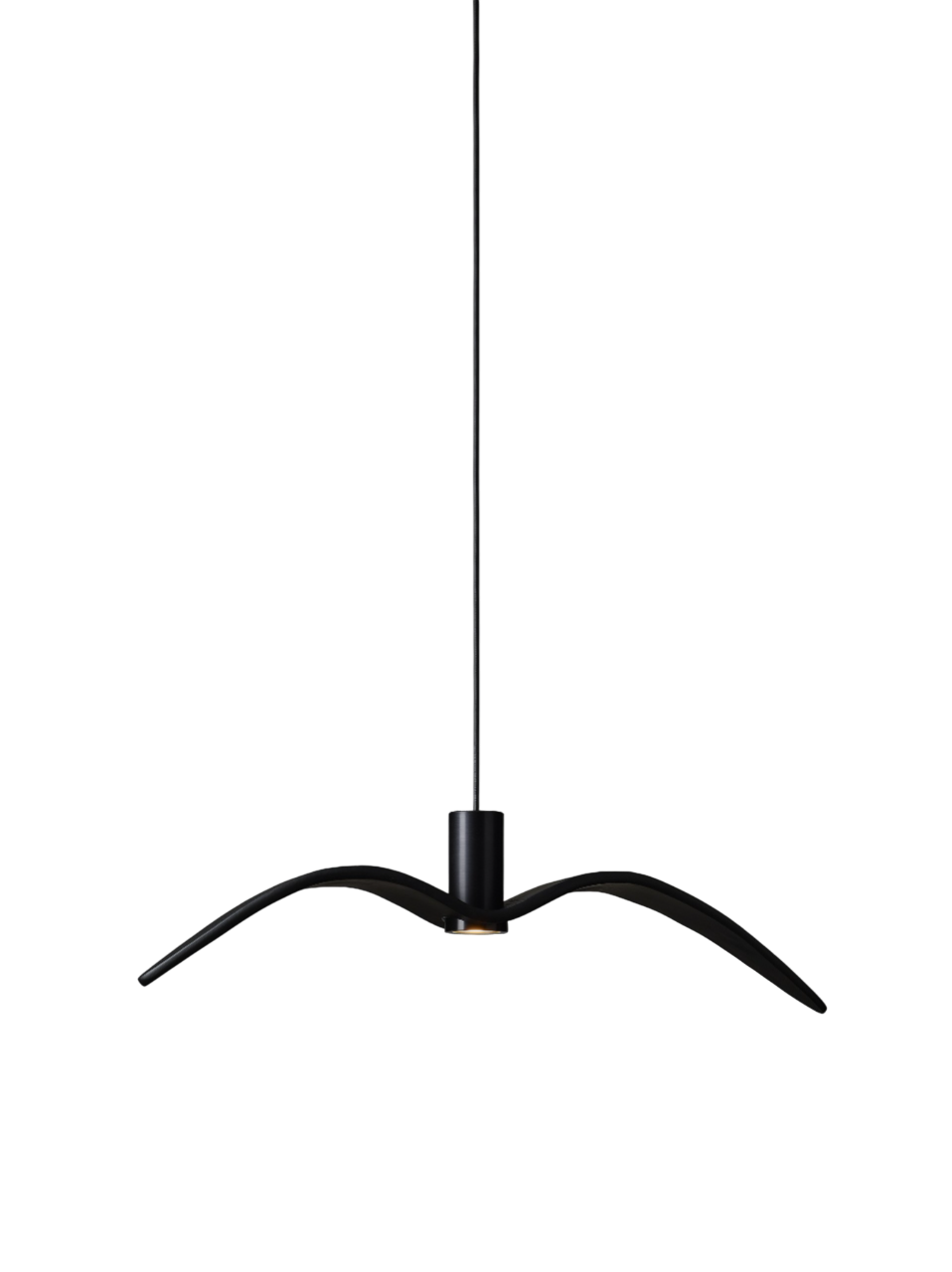 Night Birds Exterior - Night Birds Exterior PC1112