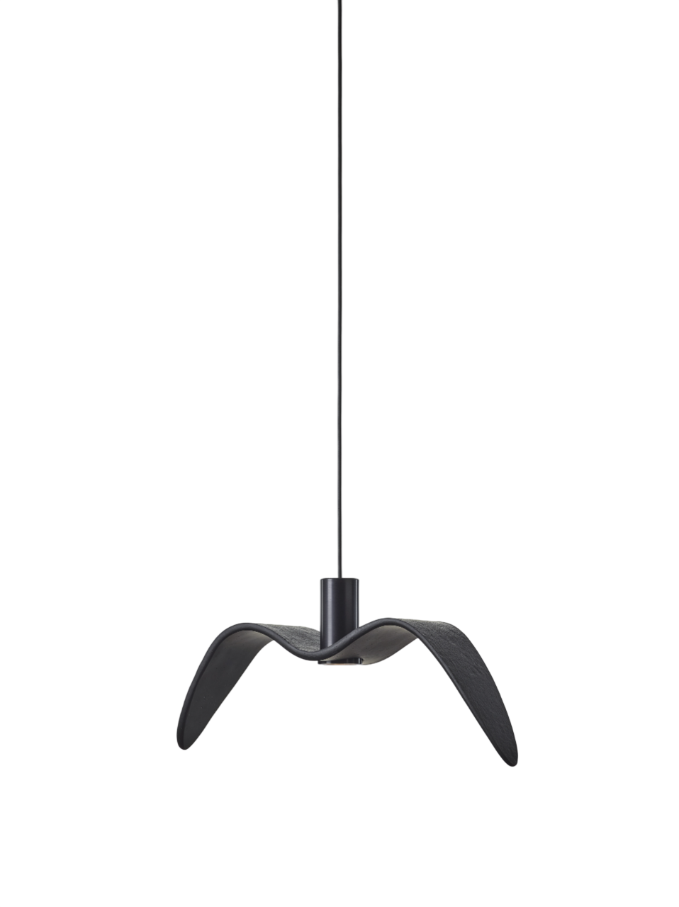 Night Birds Exterior - Night Birds Exterior PC1113