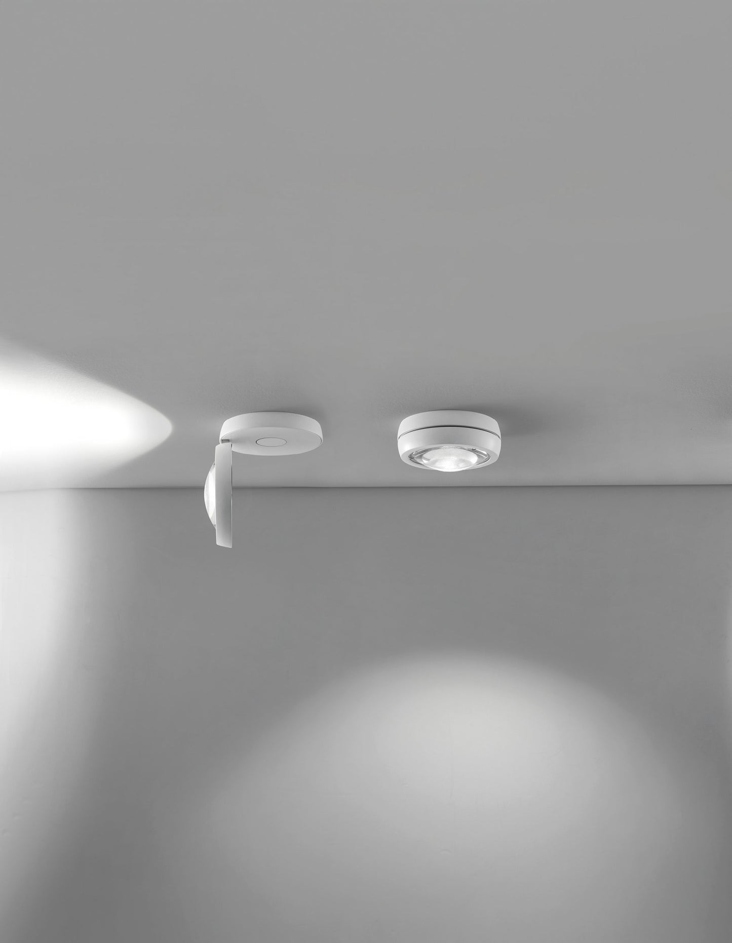 Nautilus Ceiling