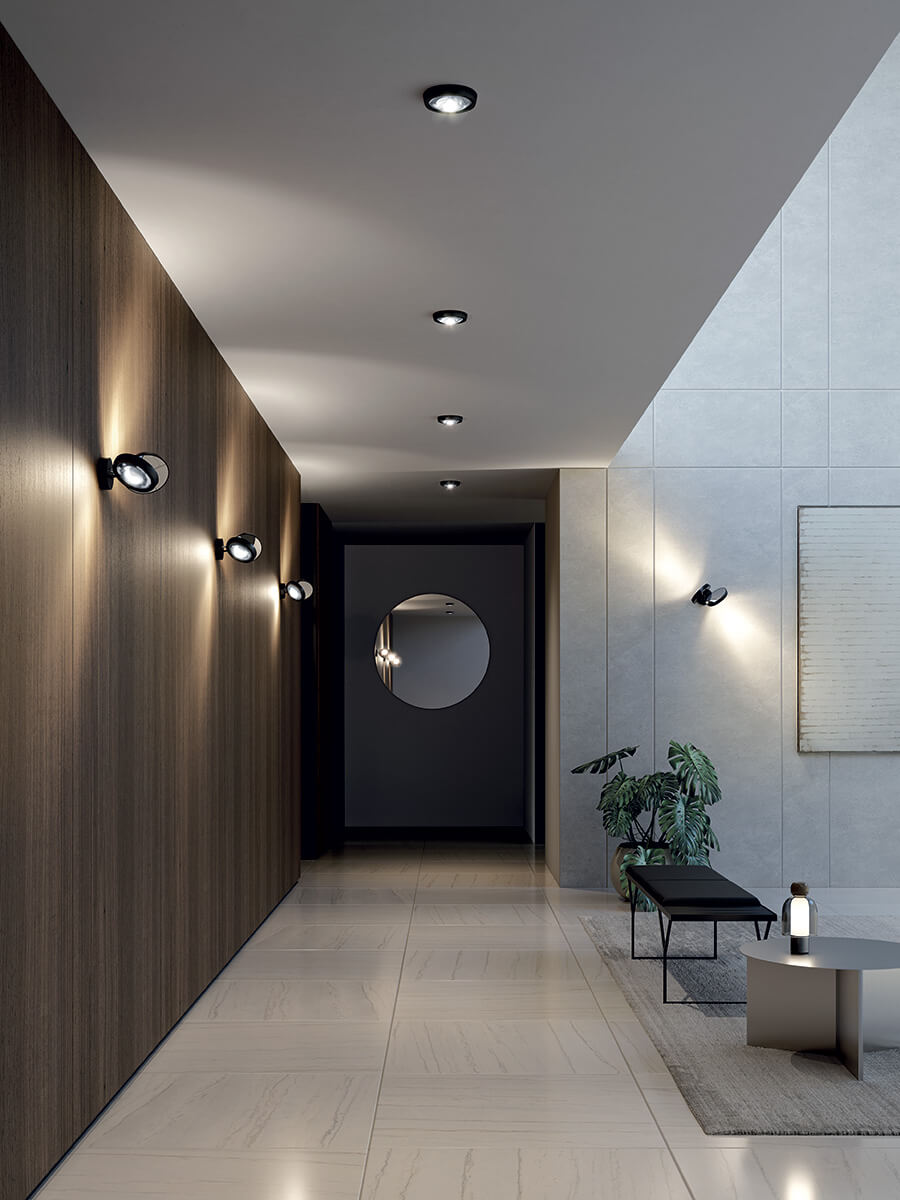 Nautilus Ceiling