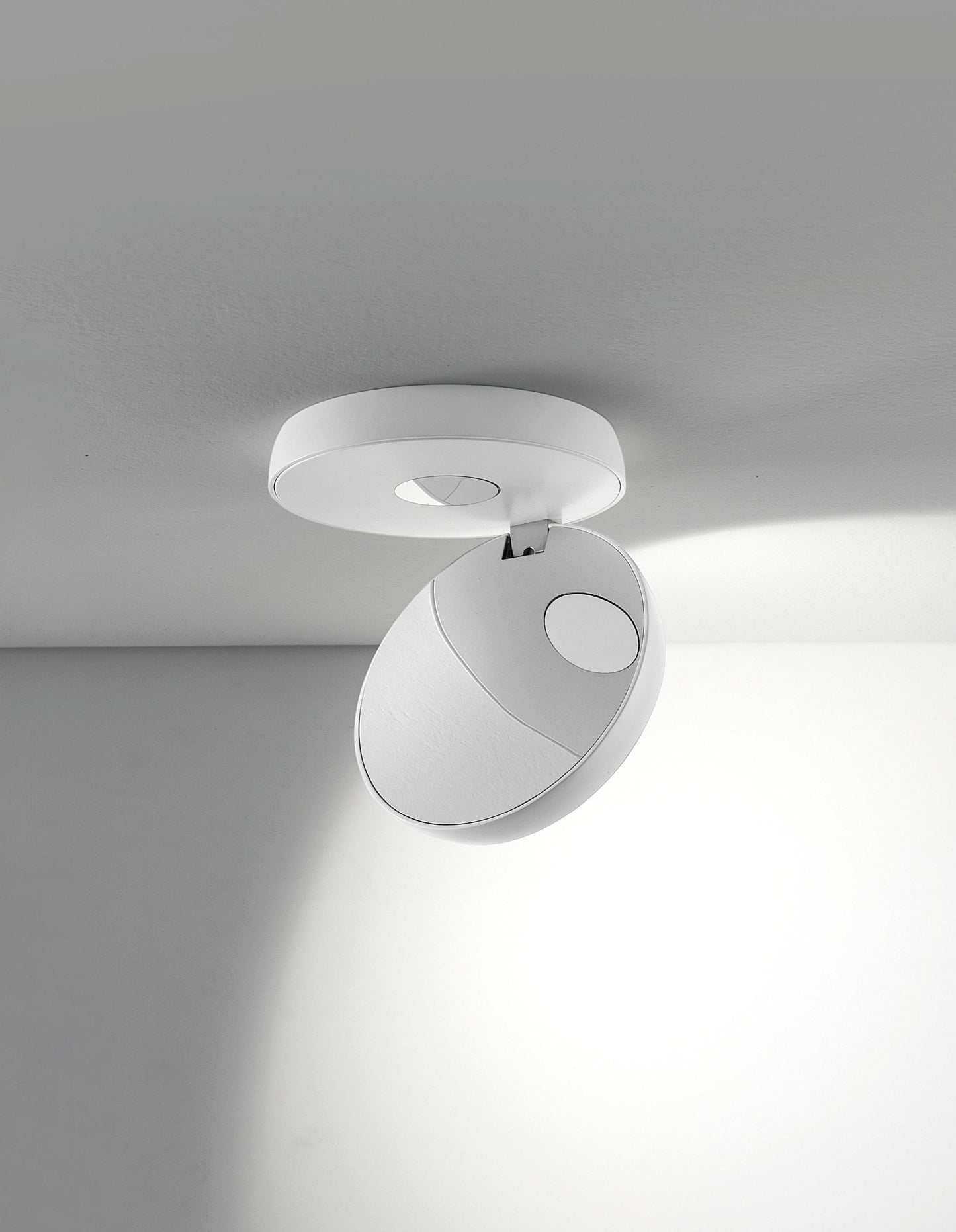Nautilus Ceiling